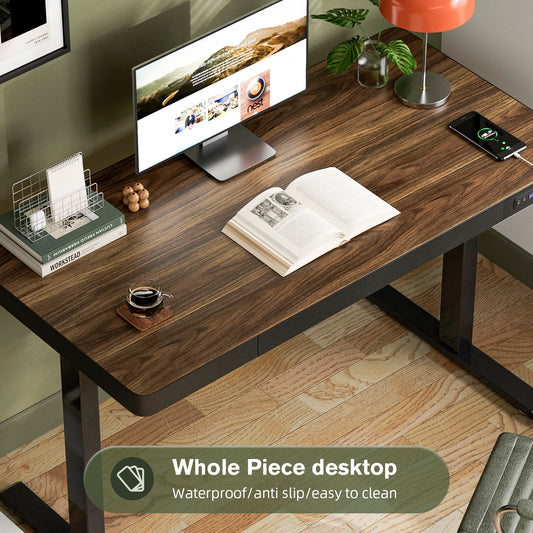 ApexSpace Electric Standing Desk with Drawer, USB Ports & Power Outlets – Height Adjustable, 120×60CM Walnut Finish Table for Home Office